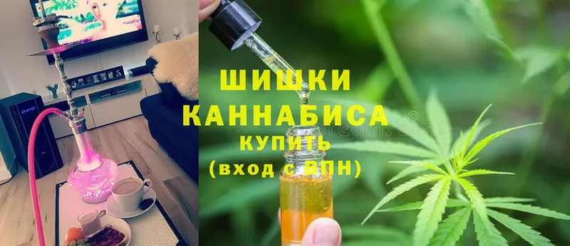 Бошки марихуана семена  продажа наркотиков  Чудово 